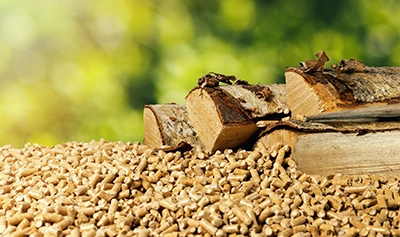 Biomass